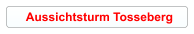 Aussichtsturm Tosseberg