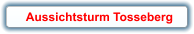 Aussichtsturm Tosseberg
